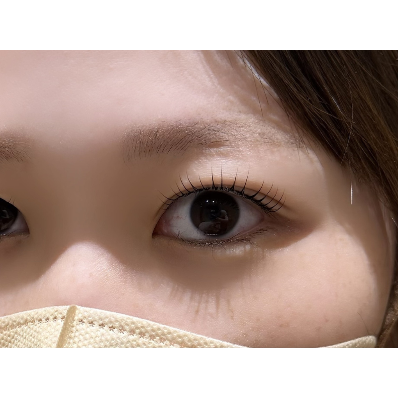 丸みストレートデザイン